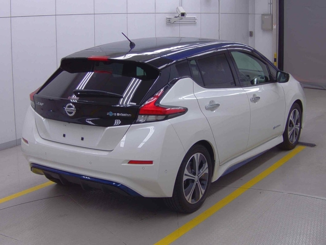 NISSAN LEAF 2018