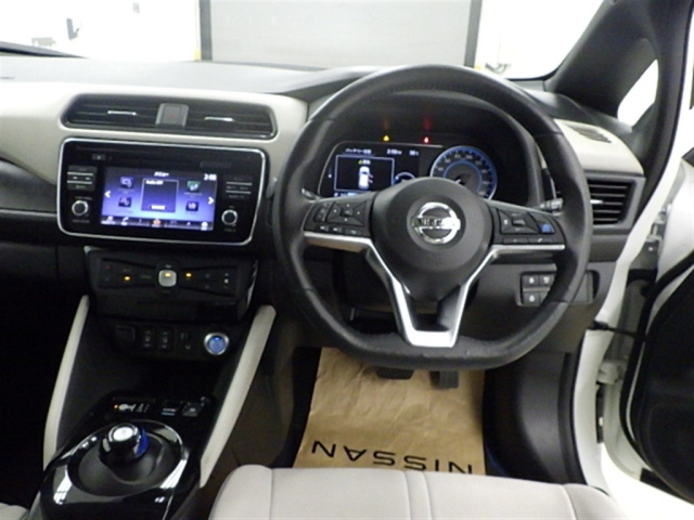 NISSAN LEAF 2018