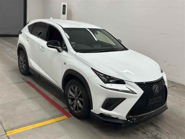 LEXUS NX 2019