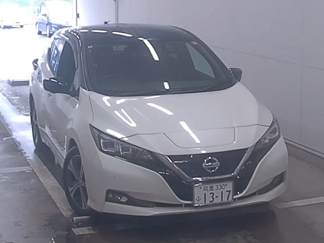NISSAN LEAF 2018