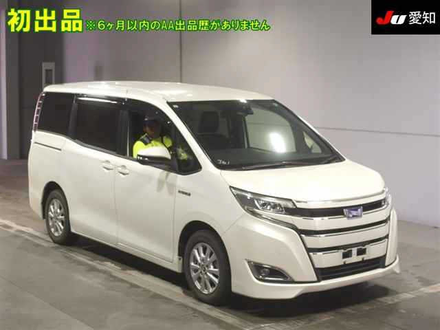 TOYOTA NOAH 2019