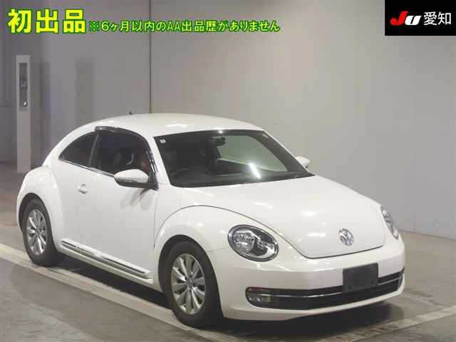 VOLKSWAGEN THE BEETLE 2012