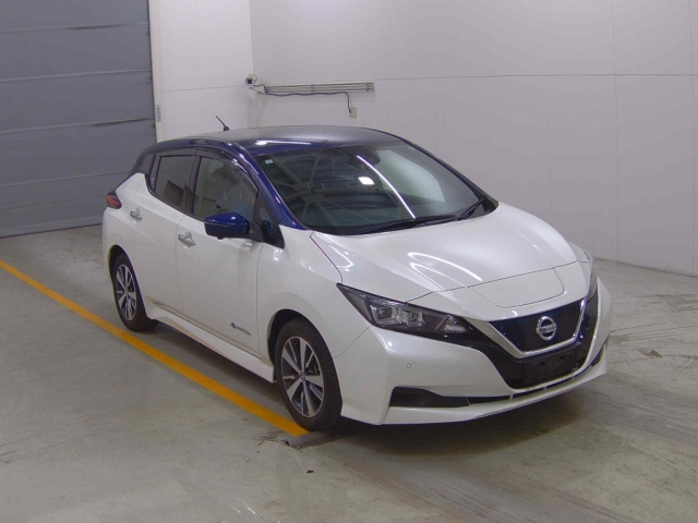 NISSAN LEAF 2019