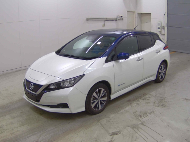 NISSAN LEAF 2019