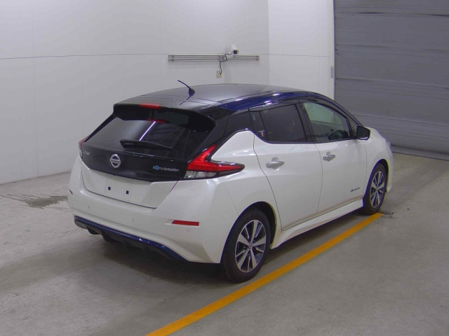 NISSAN LEAF 2019