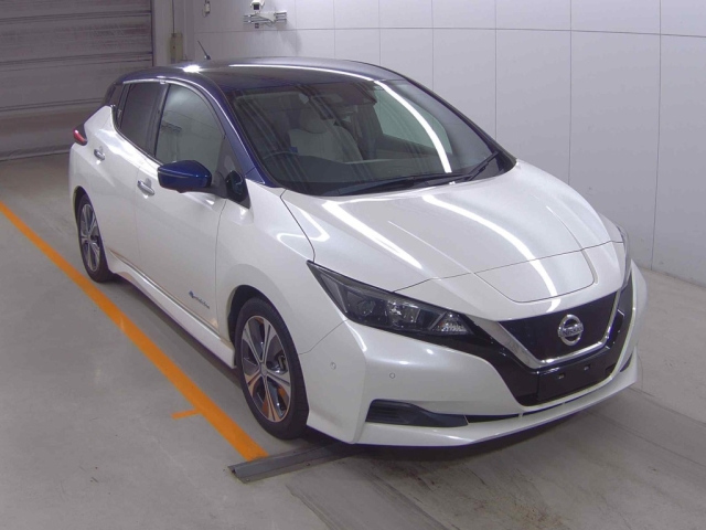 NISSAN LEAF 2018