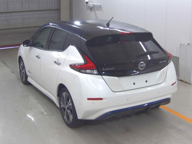 NISSAN LEAF 2018