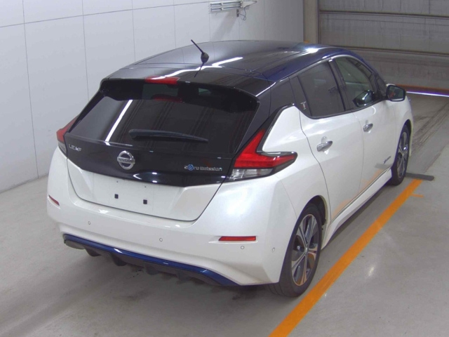 NISSAN LEAF 2018