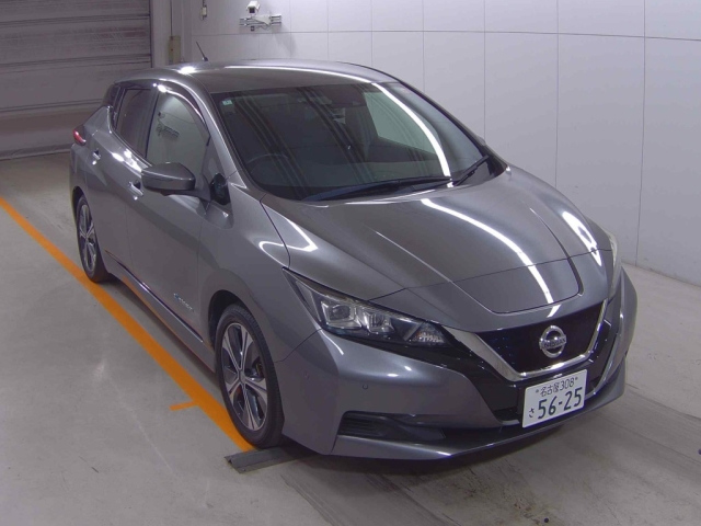 NISSAN LEAF 2018