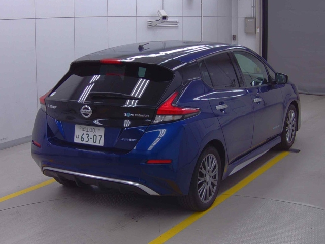NISSAN LEAF 2020