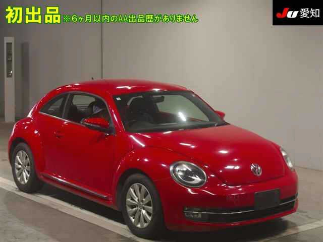 VOLKSWAGEN THE BEETLE 2014