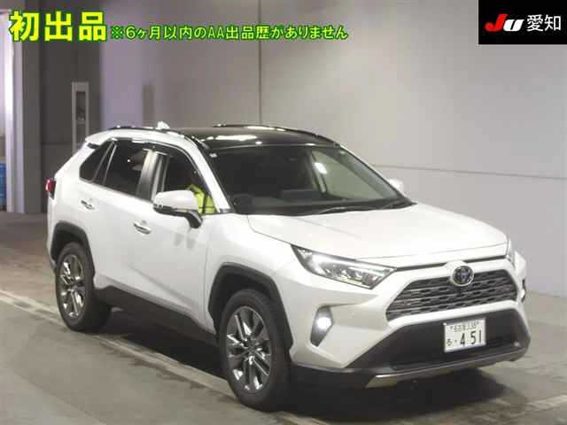TOYOTA RAV4 2024