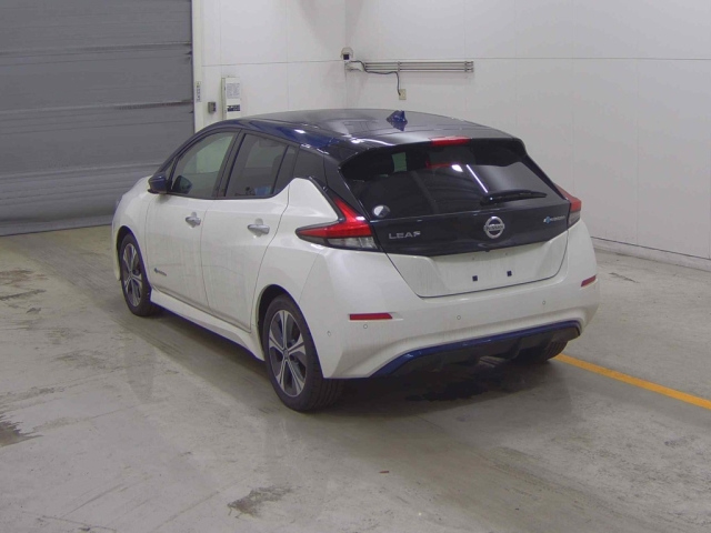NISSAN LEAF 2020