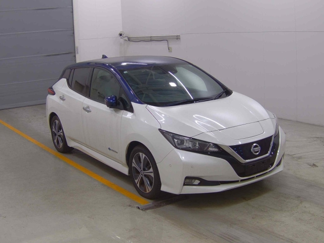 NISSAN LEAF 2020