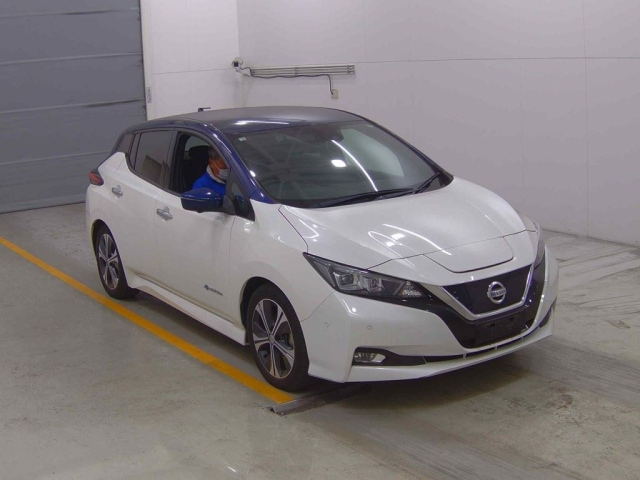 NISSAN LEAF 2019