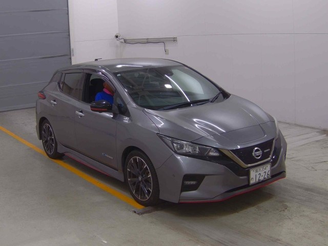 NISSAN LEAF 2019