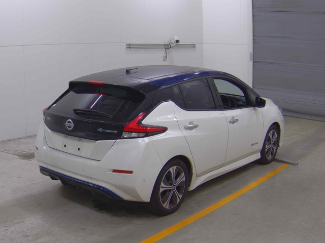 NISSAN LEAF 2019