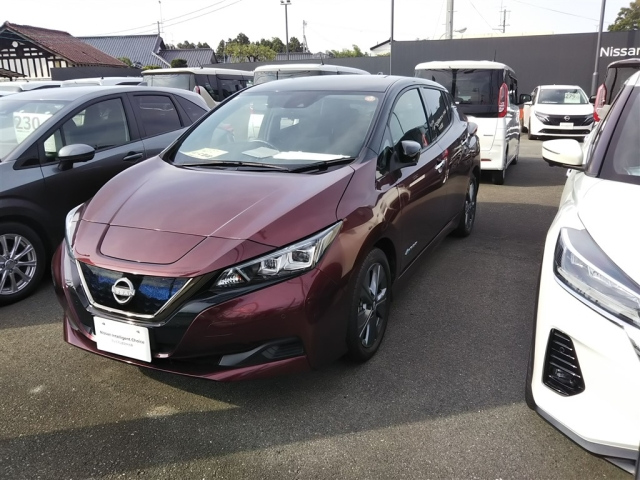 NISSAN LEAF 2021