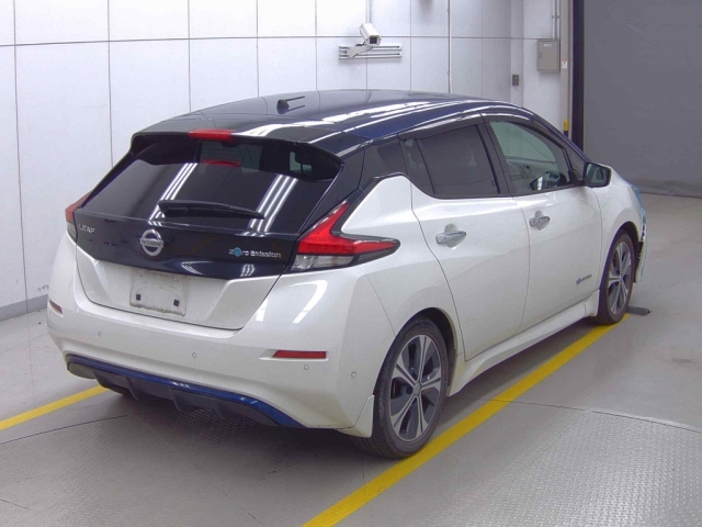 NISSAN LEAF 2018