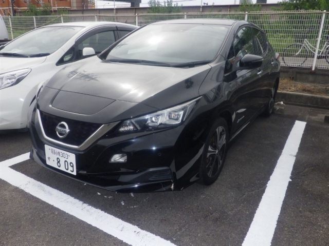 NISSAN LEAF 2019