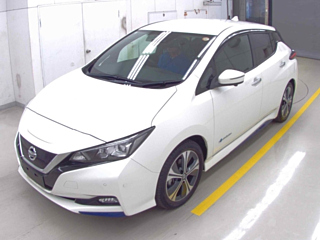 NISSAN LEAF 2021