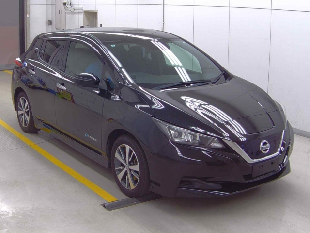 NISSAN LEAF 2019