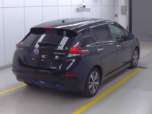 NISSAN LEAF 2019