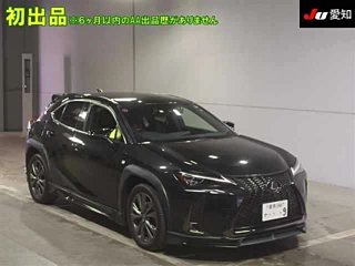 LEXUS UX 2020