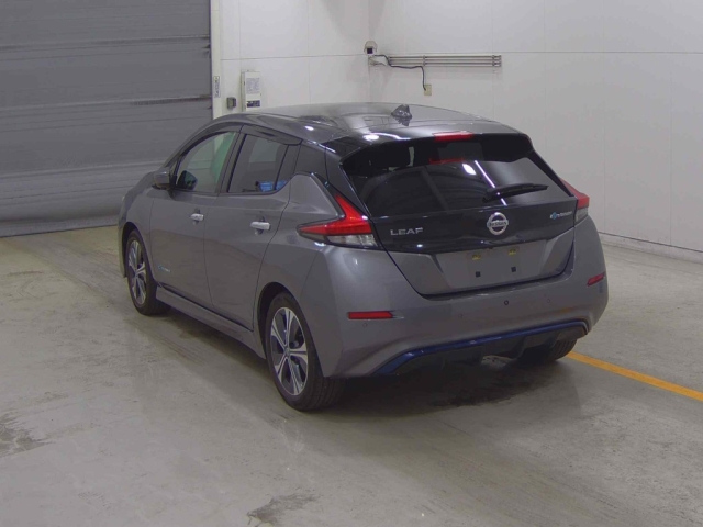NISSAN LEAF 2020
