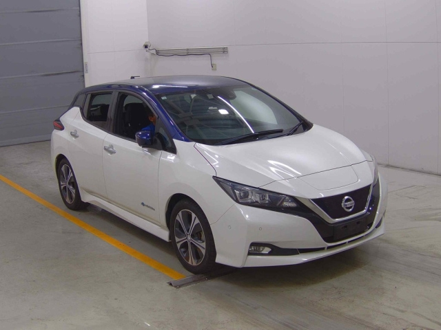 NISSAN LEAF 2019