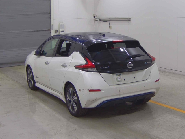 NISSAN LEAF 2019