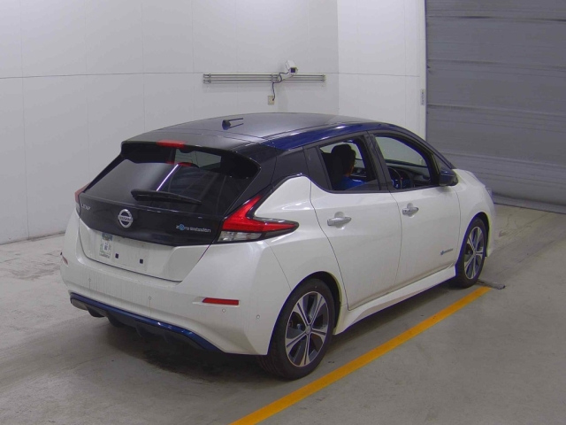 NISSAN LEAF 2019