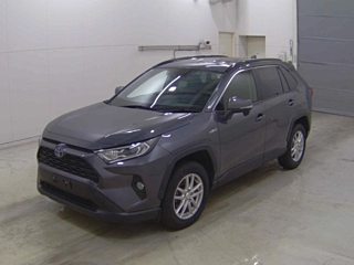 TOYOTA RAV4 2020