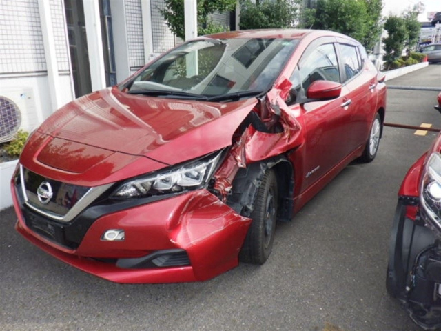 NISSAN LEAF 2019
