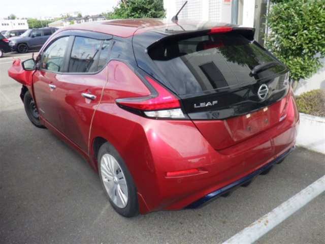 NISSAN LEAF 2019