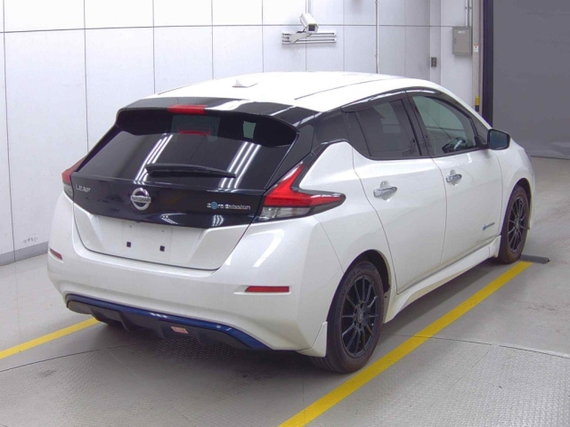 NISSAN LEAF 2018