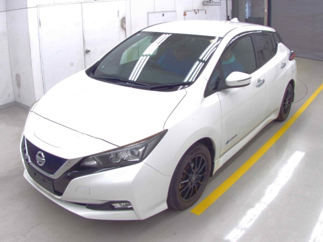 NISSAN LEAF 2018