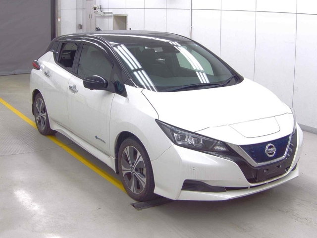 NISSAN LEAF 2020