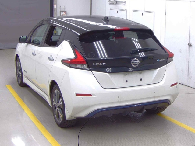 NISSAN LEAF 2020