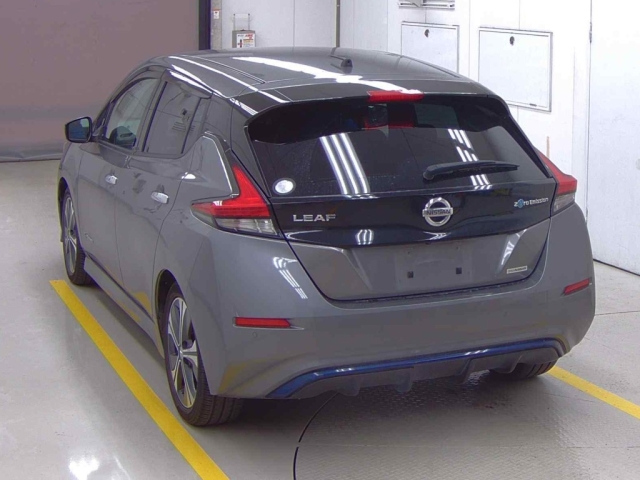 NISSAN LEAF 2018