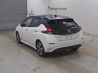 NISSAN LEAF 2020