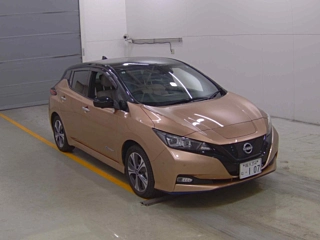 NISSAN LEAF 2021