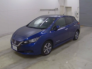 NISSAN LEAF 2019