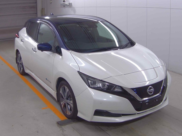 NISSAN LEAF 2020
