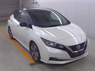 NISSAN LEAF 2020