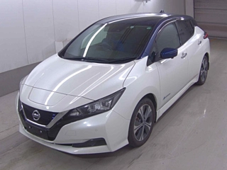 NISSAN LEAF 2020