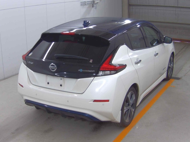 NISSAN LEAF 2020