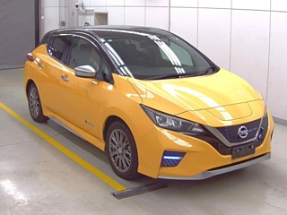 NISSAN LEAF 2020