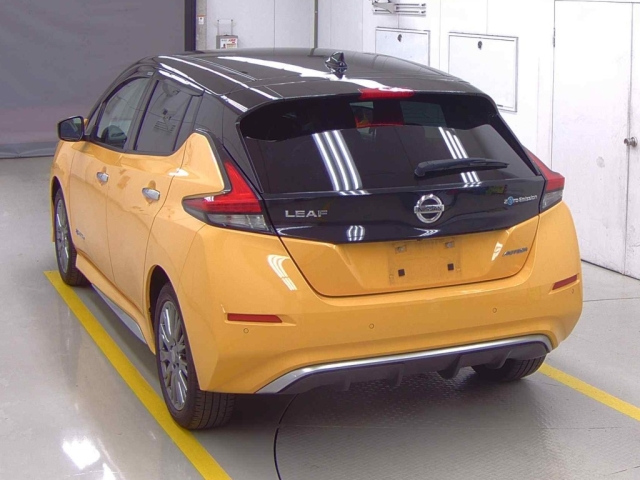 NISSAN LEAF 2020
