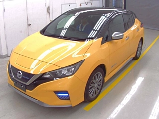 NISSAN LEAF 2020